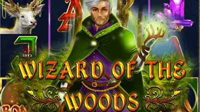 wizard of the woods